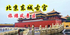 免费看男生的下面插入女生下面中国北京-东城古宫旅游风景区